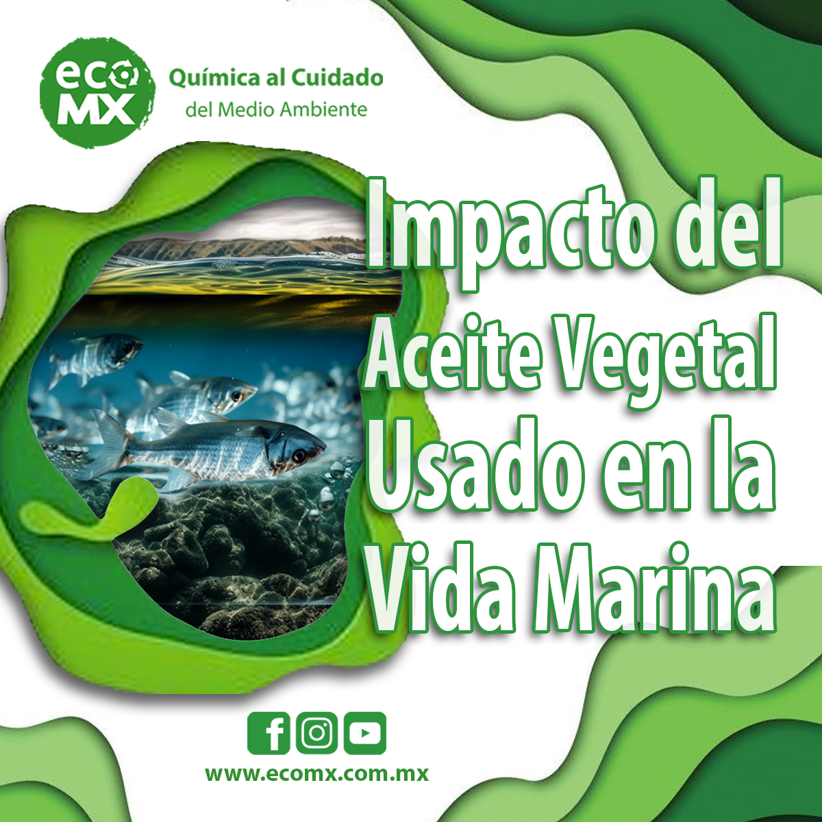 Impacto Del Aceite Vegetal Usado En La Vida Marina Ecomx